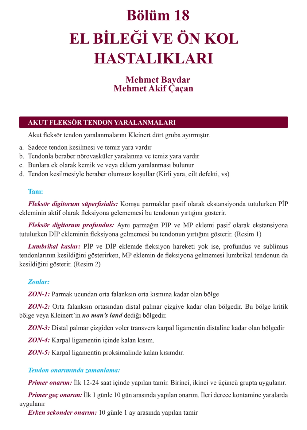Ortopedik Hastalıklara Genel Yaklaşım Kitabı Bölüm 18
